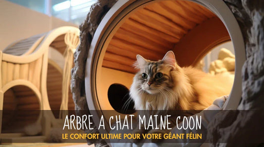 Arbre A Chat Maine Coon La Patte Velue