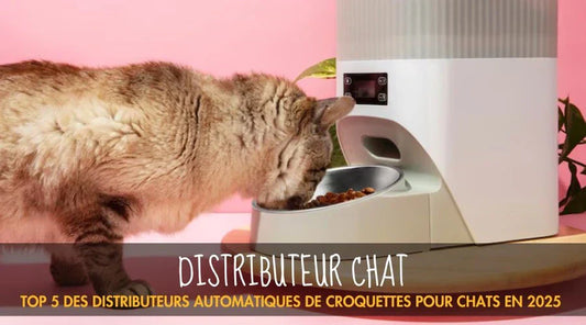 Distributeur croquettes La Patte Velue