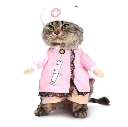 Costume pour chat infirmiere la Patte Velue 1