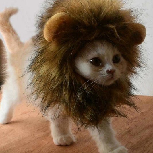Costume pour chat lion La Patte Velue 1