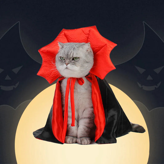 Costume vampire pour chat La Patte Velue 1