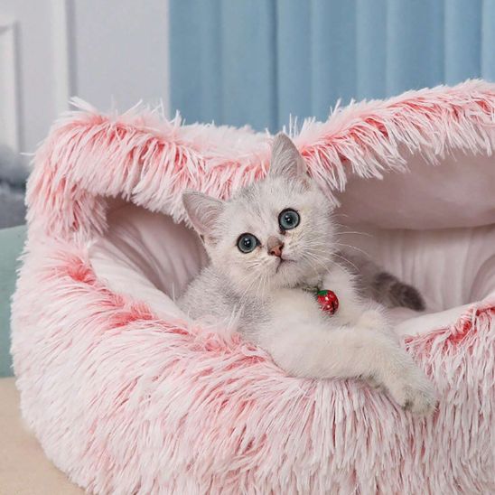 Coussin Antistress Ideal Chat La Patte Velue 3