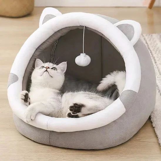 Coussin Chat Douillet Ludique La Patte Velue 1