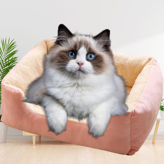 Coussin Chat Ultra Doux La Patte Velue 1