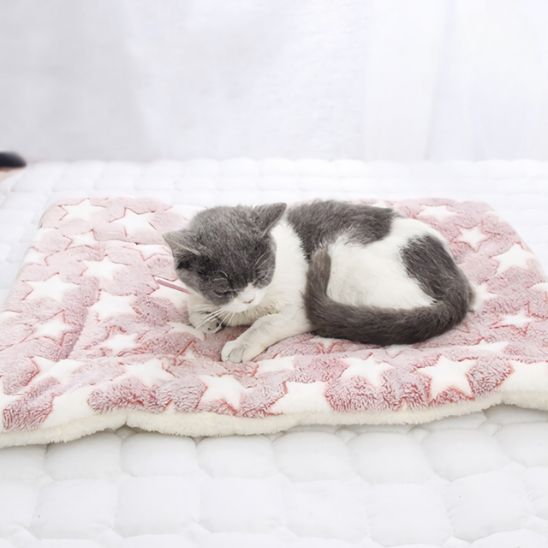 Coussin chat doux et lavable La Patte Velue 1