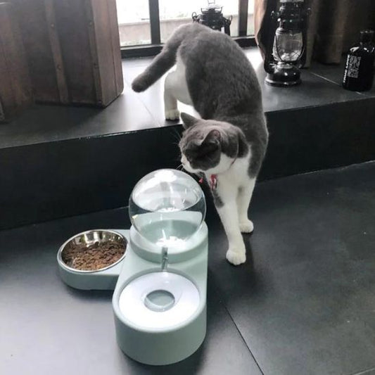 Distributeur Eau Chat 2 en 1 La Patte Velue 1