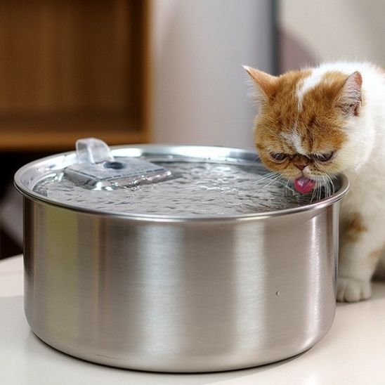 Cat Water Fountain | The Ultimate Hydration Solution