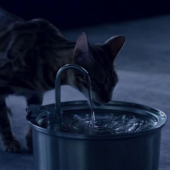 Cat Water Fountain | The Ultimate Hydration Solution