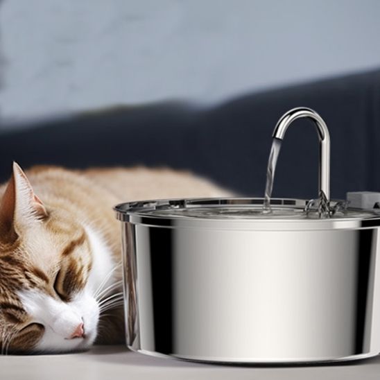 Cat Water Fountain | The Ultimate Hydration Solution