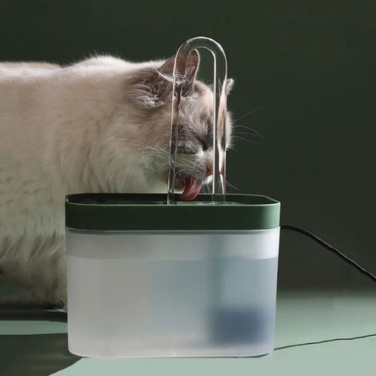 Fontaine Automatique Chats Exigeants La Patte Velue 1