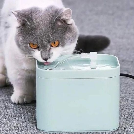 Fontaine Automatique Chats Exigeants La Patte Velue 2