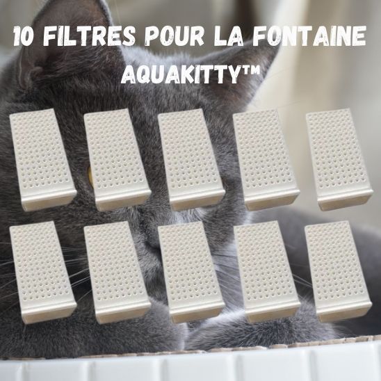 Fontaine Automatique Chats Exigeants La Patte Velue 3