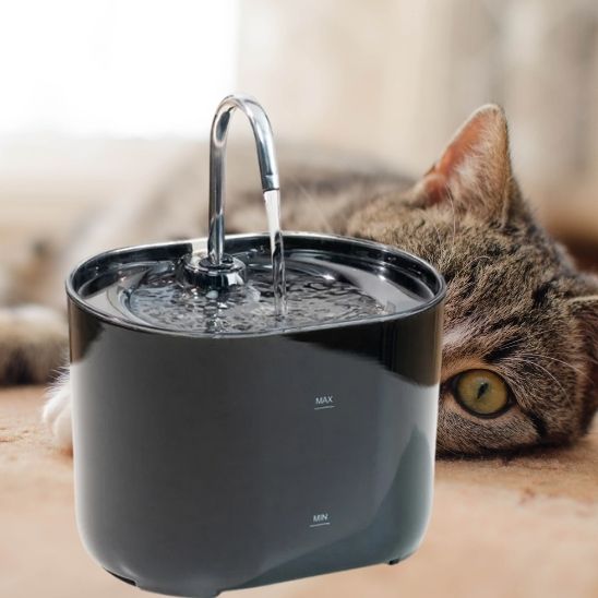 Fontaine Chat Moderne et Silencieuse La Patte Velue 1