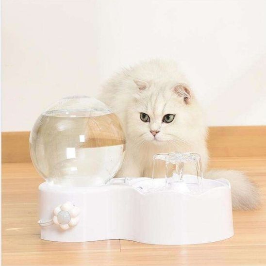 Fontaine Design pour Chat La Patte Velue