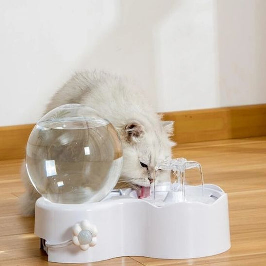 Fontaine Design pour Chat La Patte Velue 1