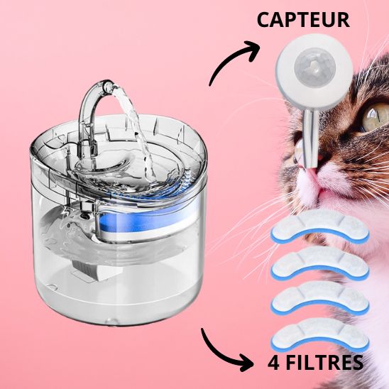 Fontaine Filtrante Chat La Patte Velue 2