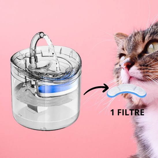 Fontaine Filtrante Chat La Patte Velue 3