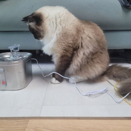 Fontaine automatique pour chat La Patte Velue 1