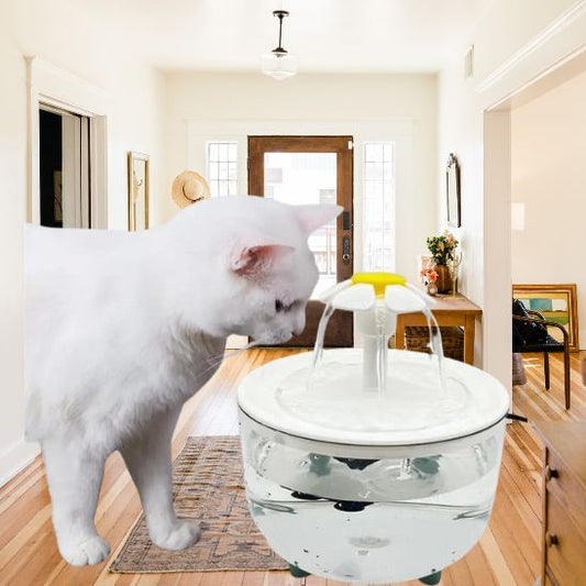 Fontaine à eau sans filtre La Patte Velue 1