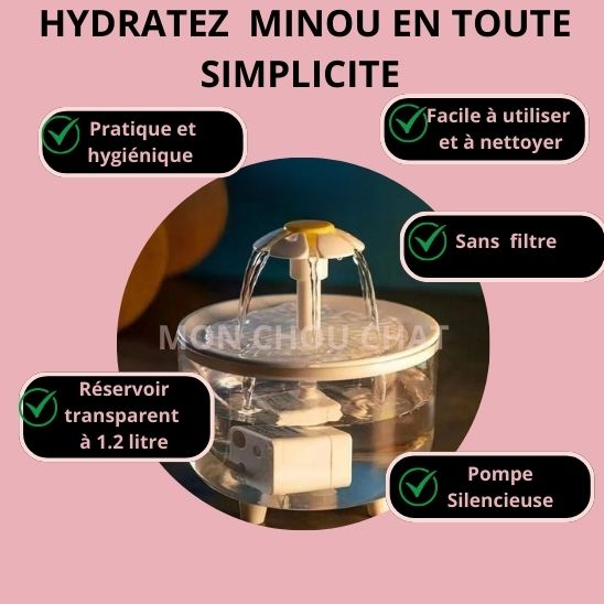 Fontaine à eau sans filtre La Patte Velue 2