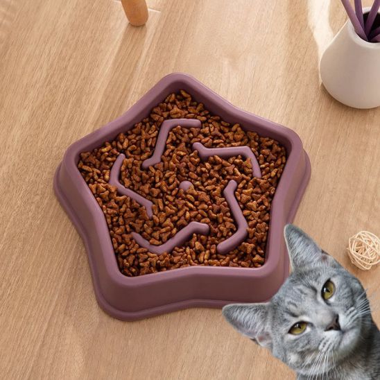Gamelle Anti Glouton Chat Étoile La Patte Velue 2