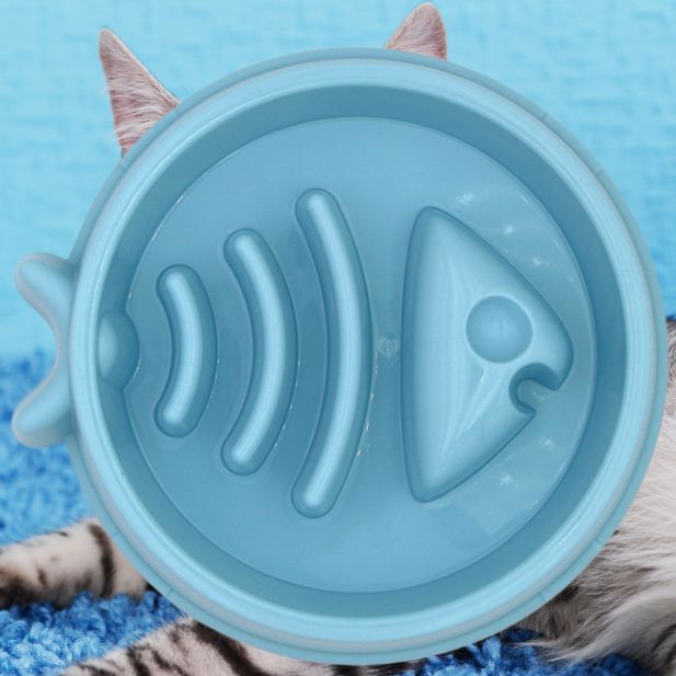 Gamelle Anti Obesite Pour Chat La Patte Velue 2