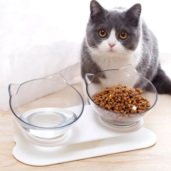 Gamelle Chat Surelevee La Patte Velue