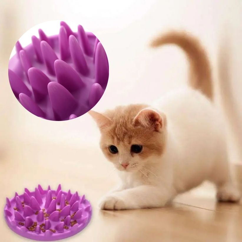 Gamelle Ludique Pour Chat La Patte Velue