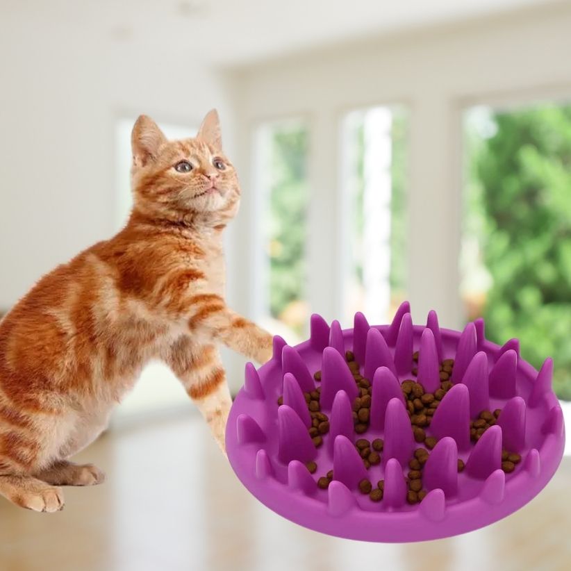 Gamelle Ludique Pour Chat La Patte Velue 1