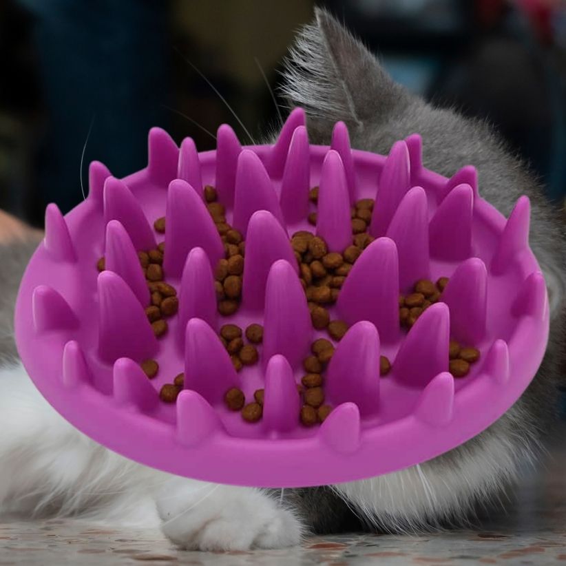 Gamelle Ludique Pour Chat La Patte Velue 2