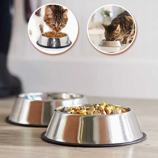 Gamelle en inox La Patte Velue 3