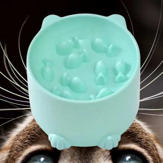 Gamelle pastel elegante fonctionnelle La Patte Velue 1