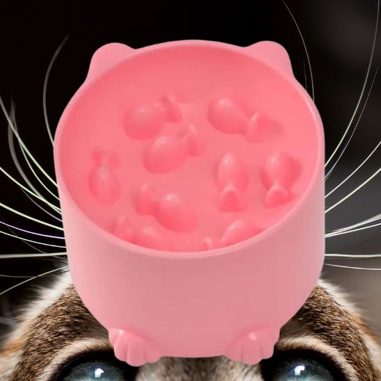 Gamelle pastel elegante fonctionnelle La Patte Velue 3