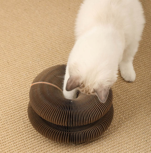 Cat Scratcher | Honeycomb The Modular Feline Paradise