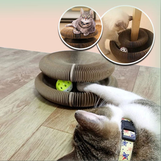 Griffoir Chat Carton La Patte Velue 1