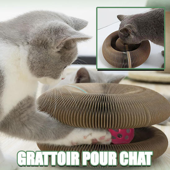 Griffoir Chat Carton La Patte Velue 2