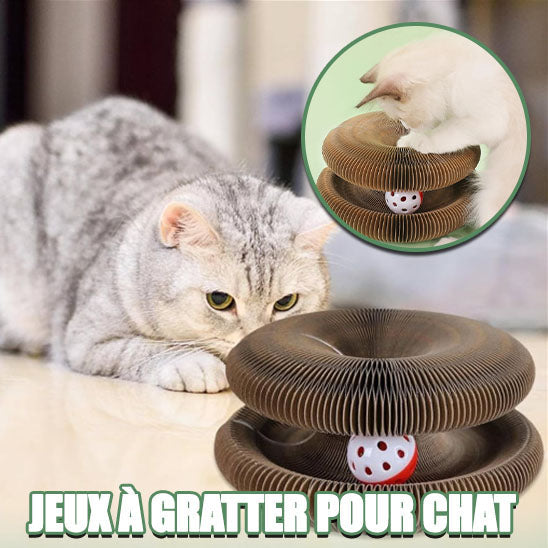 Griffoir Chat Carton La Patte Velue 3