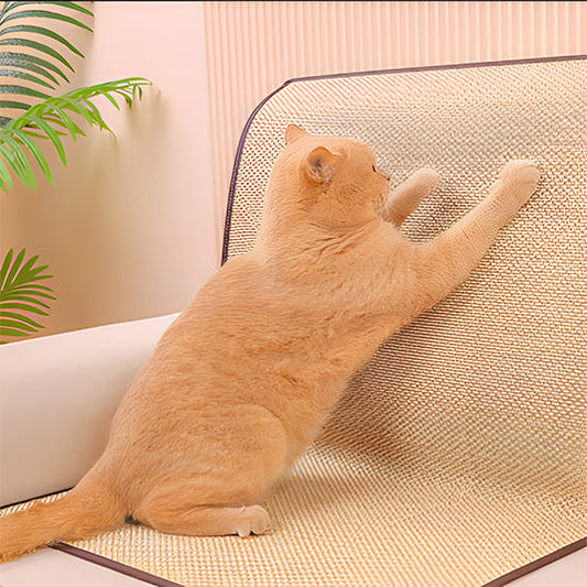 Griffoir Chat Tapis La Patte Velue 1