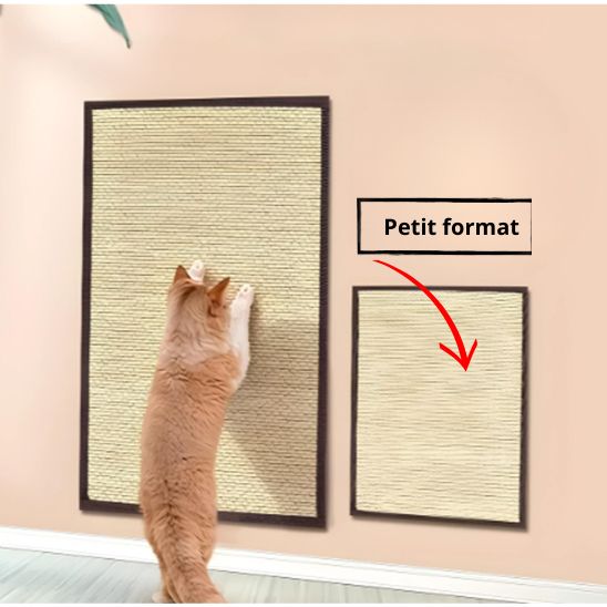 Griffoir Chat Tapis La Patte Velue 5