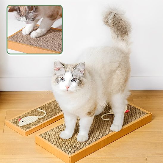 Griffoir Ecologique Chat La Patte Velue 2