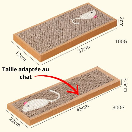 Griffoir Ecologique Chat La Patte Velue 4
