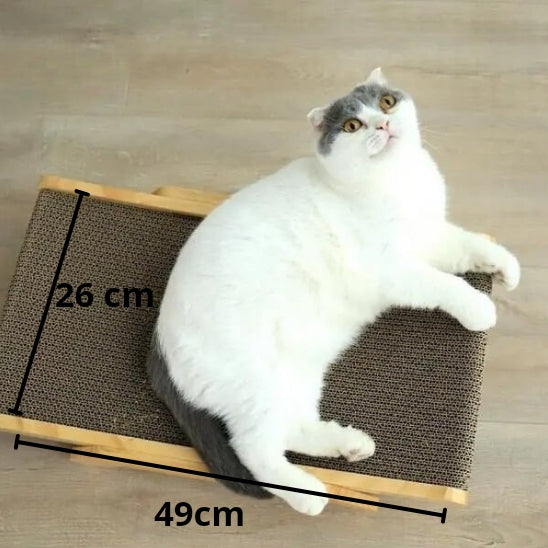 Griffoir pour Chat en Bois La Patte Velue 4