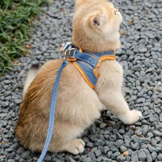 Harnais Chat Ajustable La Patte Velue 2