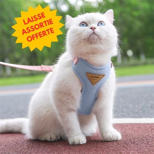Harnais Chat Anti Fugue La Patte Velue 1