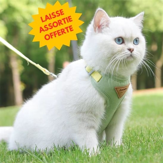 Harnais Chat Anti Fugue La Patte Velue 2