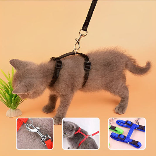 Harnais Chat Anti Fuite La Patte Velue 1