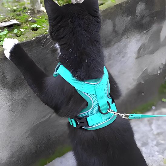 Harnais Chat Ergonomique La Patte Velue