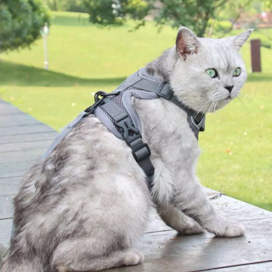 Harnais Chat Ergonomique La Patte Velue