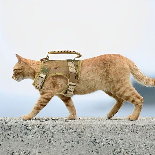 Harnais Chat Militaire La Patte Velue 2