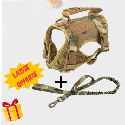 Harnais Chat Militaire La Patte Velue 3